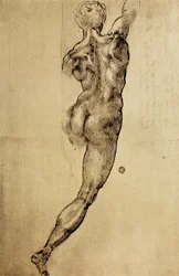 Study of a virile figure seen from the back